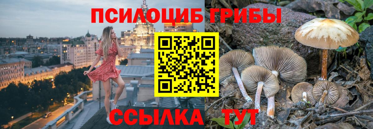 купить наркотик  Псилоцибиновые грибы Psilocybine cubensis  Вход с VPN  Галлюциногенные грибы мицелий  Тамбов 