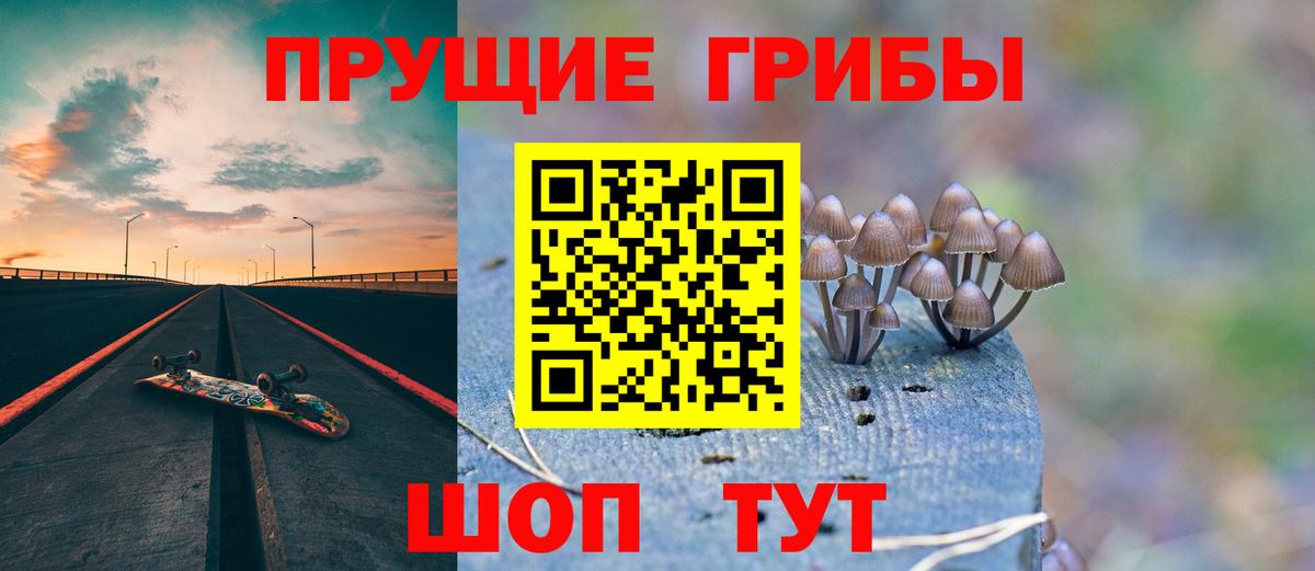 Псилоцибиновые грибы мицелий Тамбов