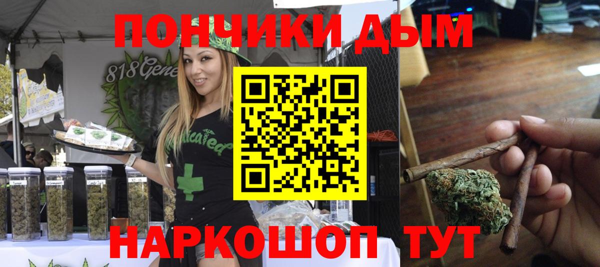 Бошки Шишки планчик  Канабис планчик  Канабис семена  Тамбов  Вход с VPN 